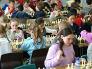 在线DDOS攻击平台